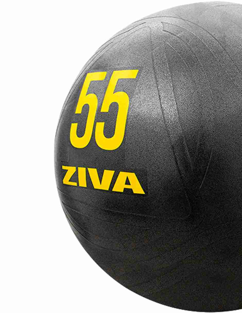 Pelota de ejercicio Ziva